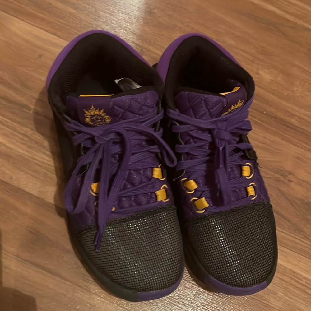 Nike Lebron Witness VIII. EUC